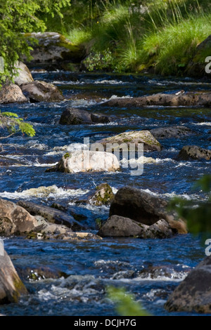 Brook, sul fiume rivolo, stream, Bach, Fluß, Fluss, Naturnaher Bach mit Steinen Foto Stock