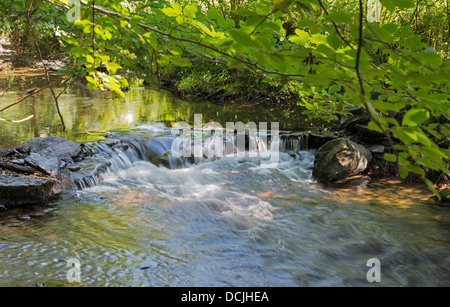 Esecuzione di acqua nel fiume Semois in Belgio la natura Foto Stock