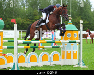 Cavallo e cavaliere in casco salti un show jumping corso oltre le recinzioni Foto Stock