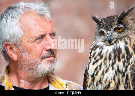 Un gufo reale al Lowther rapace centro vicino a Penrith, Cumbria, Regno Unito. Foto Stock