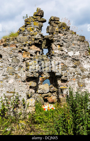 Rovine Murlough Bay North Antrim Irlanda del Nord Foto Stock