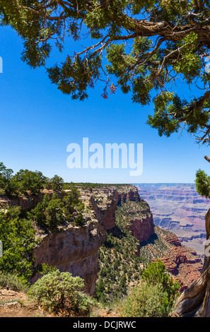 Vista verso Mather Point da East Rim Trail tra Mather & Yaki punti, South Rim, il Parco Nazionale del Grand Canyon, Arizona, Stati Uniti d'America Foto Stock