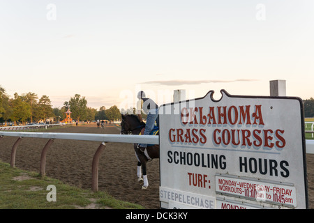 Il 4 agosto 2013. Saratoga Raceway, New York. Corse di purosangue cavalli eseguire allenamenti di mattina in Oklahoma percorso training. Foto Stock