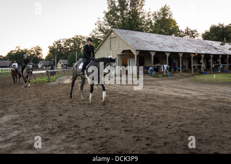 Il 4 agosto 2013. Saratoga Raceway, New York. Corse di purosangue cavalli eseguire allenamenti di mattina in Oklahoma percorso training. Foto Stock