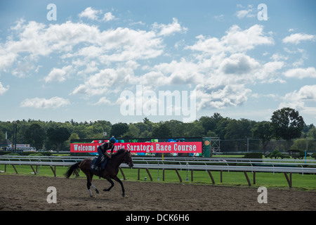 Esercizio cavaliere a cavallo purosangue di prima mattina allenamento a Saratoga Raceway in New York. Foto Stock