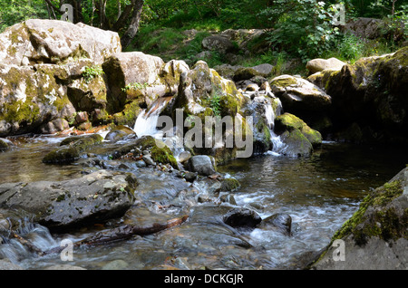 Tumbling ruscello di montagna di Aira Beck sopra Aira Force nel Parco Nazionale del Distretto dei Laghi. Foto Stock