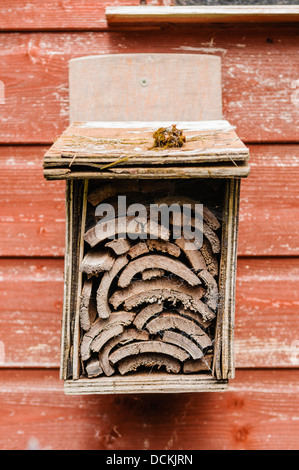 La nidificazione in legno scatola adatta per attrarre una vasta gamma di insetti. Foto Stock