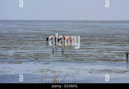 Watt-escursioni con una guida durante il riflusso a la spiaggia di Duhnen. Con ebb, il naufragio sea-mirror è contrassegnato a causa delle maree. La fine del BBI è chiamato tide-acque basse. Foto: Klaus Nowottnick Data: 11 Maggio 2013 Foto Stock