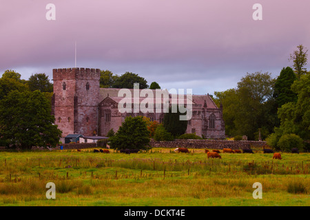 Sant'Andrea Chiesa con le mucche nei feilds infront Greystoke Cumbria Inghilterra England Regno Unito Gran Bretagna Foto Stock