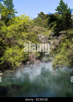 Dh Tokaanu passeggiata termale TOKAANU NUOVA ZELANDA Riserva di ricreazione piscina termale calda per la cottura a vapore Piscine minerali molle Foto Stock