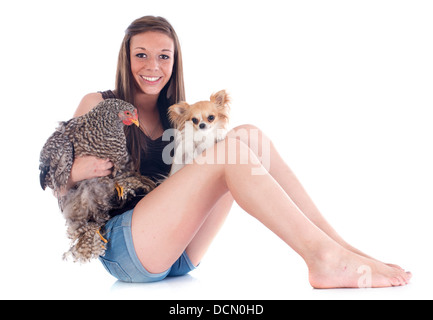 Ragazza, chihuahua e pollo di fronte a uno sfondo bianco Foto Stock