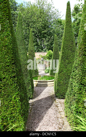 Ritagliato yew guglie del Yew a piedi a Wollerton Old Hall Giardini Giardino Wollerton Market Drayton Shropshire England Regno Unito Foto Stock