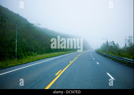 La nebbia e bagnato Highway 4, Richardson Highway, Thompson Pass, vicino a Valdez, Alaska, Stati Uniti d'America. I marcatori di overhead di aiutare i conducenti a navigare Foto Stock