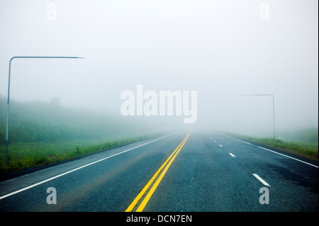 La nebbia e bagnato Highway 4, Richardson Highway, Thompson Pass, vicino a Valdez, Alaska, Stati Uniti d'America. I marcatori di overhead di aiutare i conducenti a navigare Foto Stock