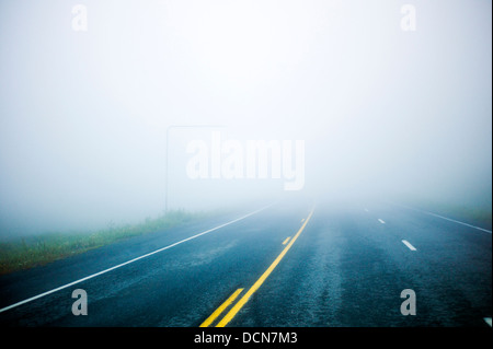 La nebbia e bagnato Highway 4, Richardson Highway, Thompson Pass, vicino a Valdez, Alaska, Stati Uniti d'America. I marcatori di overhead di aiutare i conducenti a navigare Foto Stock