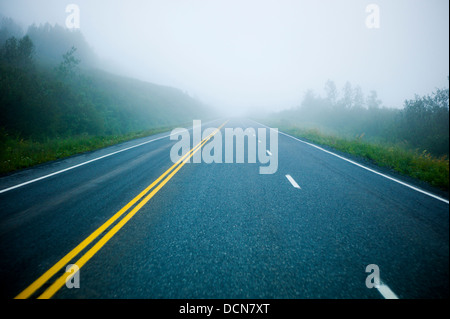 La nebbia e bagnato Highway 4, Richardson Highway, Thompson Pass, vicino a Valdez, Alaska, Stati Uniti d'America. I marcatori di overhead di aiutare i conducenti a navigare Foto Stock