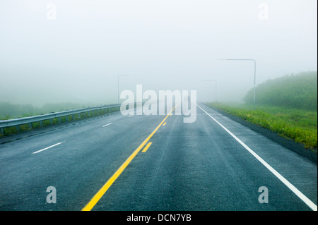 La nebbia e bagnato Highway 4, Richardson Highway, Thompson Pass, vicino a Valdez, Alaska, Stati Uniti d'America. I marcatori di overhead di aiutare i conducenti a navigare Foto Stock