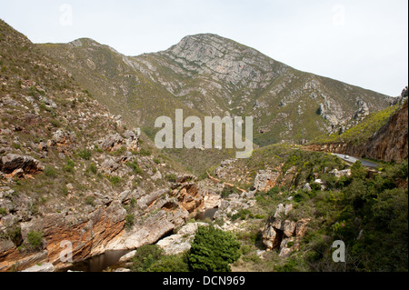 Tradouw passano sul Langeberg Mountains, Swellendam, Western Cape, Sud Africa Foto Stock