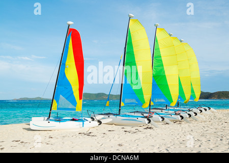 Barche a vela con Coloratissime vele sulla spiaggia tropicale, Catamarani Foto Stock