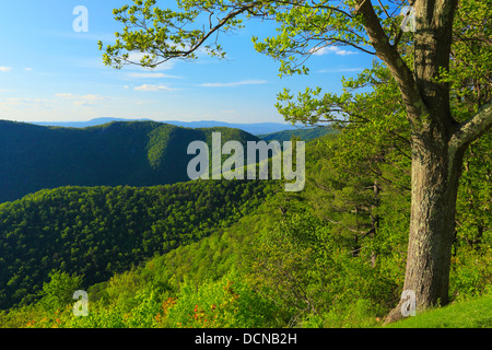 Vista da RockyTop si affacciano, Parco Nazionale di Shenandoah, Virginia, Stati Uniti d'America Foto Stock