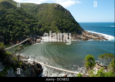 Tempeste fiume ponte di sospensione, Tsitsikamma, Garden Route National Park, Sud Africa Foto Stock