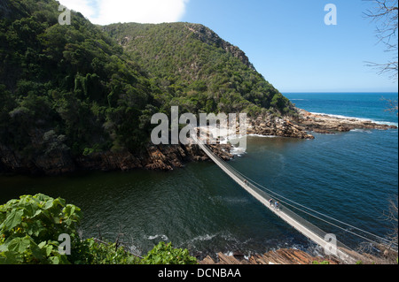 Tempeste fiume ponte di sospensione, Tsitsikamma, Garden Route National Park, Sud Africa Foto Stock