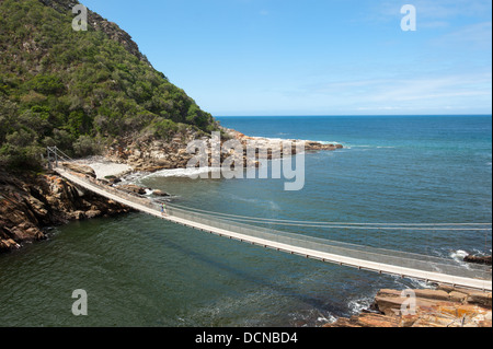 Tempeste fiume ponte di sospensione, Tsitsikamma, Garden Route National Park, Sud Africa Foto Stock