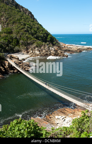 Tempeste fiume ponte di sospensione, Tsitsikamma, Garden Route National Park, Sud Africa Foto Stock