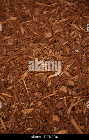 Sullo sfondo di un giardino la pacciamatura di corteccia Foto Stock