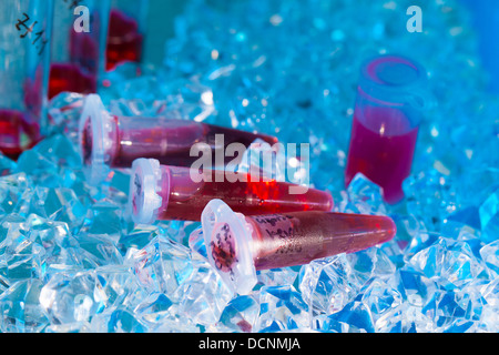 La reazione del tubo di plastica in una scatola piena di ghiaccio Foto Stock