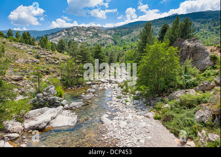 Flusso in Corsica Francia Foto Stock