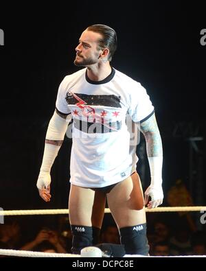 CM Punk WWE Raw Superstars restituiti all'Arena O2 con una sorpresa apparizione cameo di wrestling leggenda Mick Foley come ospiti di un arbitro. Vedendo come l'eroe locale Sheamus non era sul roster per il Dublin mostra superstar WWE CM Punk agguantato una bandiera tricolore ha proclamato in se stesso come Irish per la gioia dei fan! Chiedo come orgoglioso Celt Sheamus prenderà un po' di notizie? Dublino, Irlanda Foto Stock