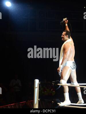 Alberto Del Rio WWE Raw Superstars restituiti all'Arena O2 con una sorpresa apparizione cameo di wrestling leggenda Mick Foley come ospiti di un arbitro. Vedendo come l'eroe locale Sheamus non era sul roster per il Dublin mostra superstar WWE CM Punk agguantato una bandiera tricolore ha proclamato in se stesso come Irish per la gioia dei fan! Chiedo come orgoglioso Celt Sheamus prenderà un po' di notizie? Dublino, Foto Stock