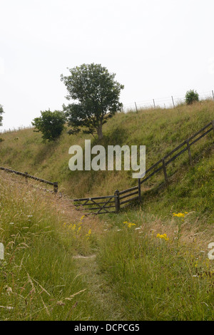 Il sentiero e gate a Morgans Hill. Calne. Wiltshire. Inghilterra Foto Stock