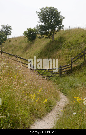 Il sentiero e gate a Morgans Hill. Calne. Wiltshire. Inghilterra Foto Stock