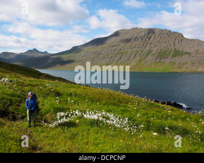 Passeggiate, Barðsnes penisola, Islanda Foto Stock