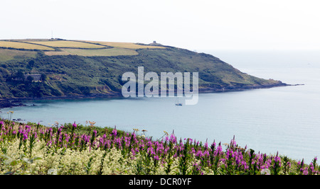 Vista di testa di rame e Polhawn in Whitsand Bay Cornwall Coast Inghilterra REGNO UNITO vicino a Plymouth Foto Stock