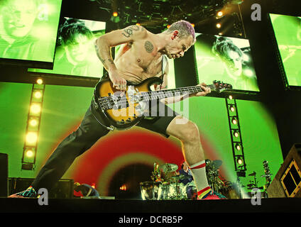 Michael Balzary aka Flea dei Red Hot Chili Peppers eseguendo a Manchester MEN Arena. Manchester, Inghilterra - 14.11.11 Foto Stock