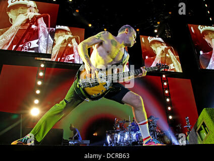 Michael Balzary aka Flea dei Red Hot Chili Peppers eseguendo a Manchester MEN Arena. Manchester, Inghilterra - 14.11.11 Foto Stock
