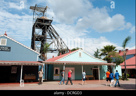 Il mio albero in Gold Reef City, Johannesburg, Sud Africa Foto Stock