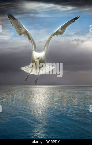 Seagull in volo sopra il mare con moody sky Foto Stock