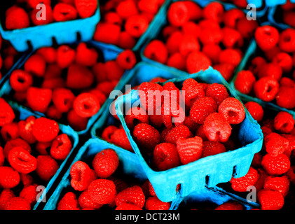 Bacche carnose in bidoni sul display per la vendita al mercato Foto Stock