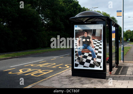 Warwick, Regno Unito. Il 21 agosto 2013. 'SELF ritratto con uova fritte, 1996 " da Sarah Lucas, un poster in un bus shelter in Wedgnock Lane, Warwick, come parte dell'arte ovunque la visualizzazione del progetto arte su 22.000 siti nel Regno Unito. 21 agosto 2013, Warwick, Warwickshire, Inghilterra, UK Credit: Colin Underhill/Alamy Live News Foto Stock