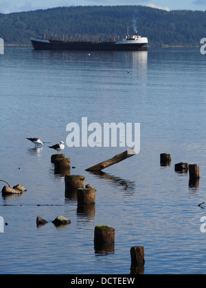 Nave, pali e gabbiani sul lago Foto Stock