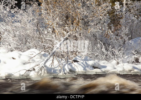 La brina, neve e ghiaccio lungo un fiume; Thunder Bay, Ontario, Canada Foto Stock