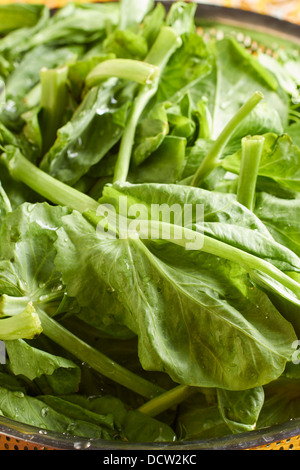 Germogli di piselli, un classico vegetale cinese Foto Stock