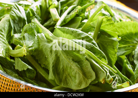 Germogli di piselli, un classico vegetale cinese Foto Stock