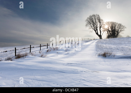 Una scena invernale sulla collina Linley, Shropshire, Inghilterra, Regno Unito Foto Stock