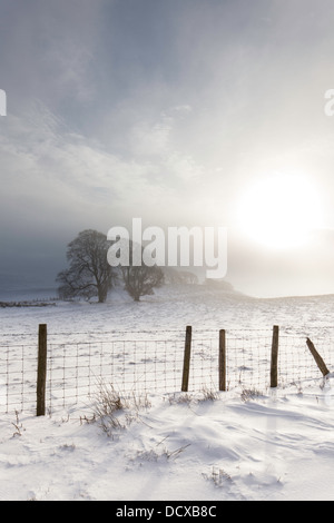 Una scena invernale sulla collina Linley, Shropshire, Inghilterra, Regno Unito Foto Stock