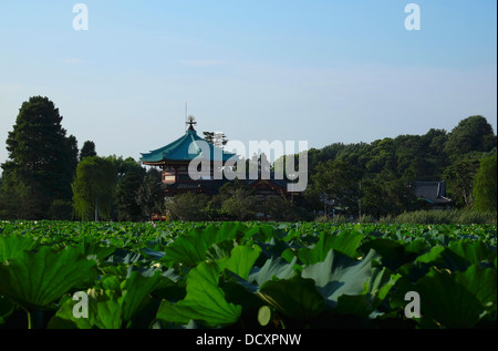 Shinobazu pond e Bentendo tempio a Parco di Ueno Foto Stock